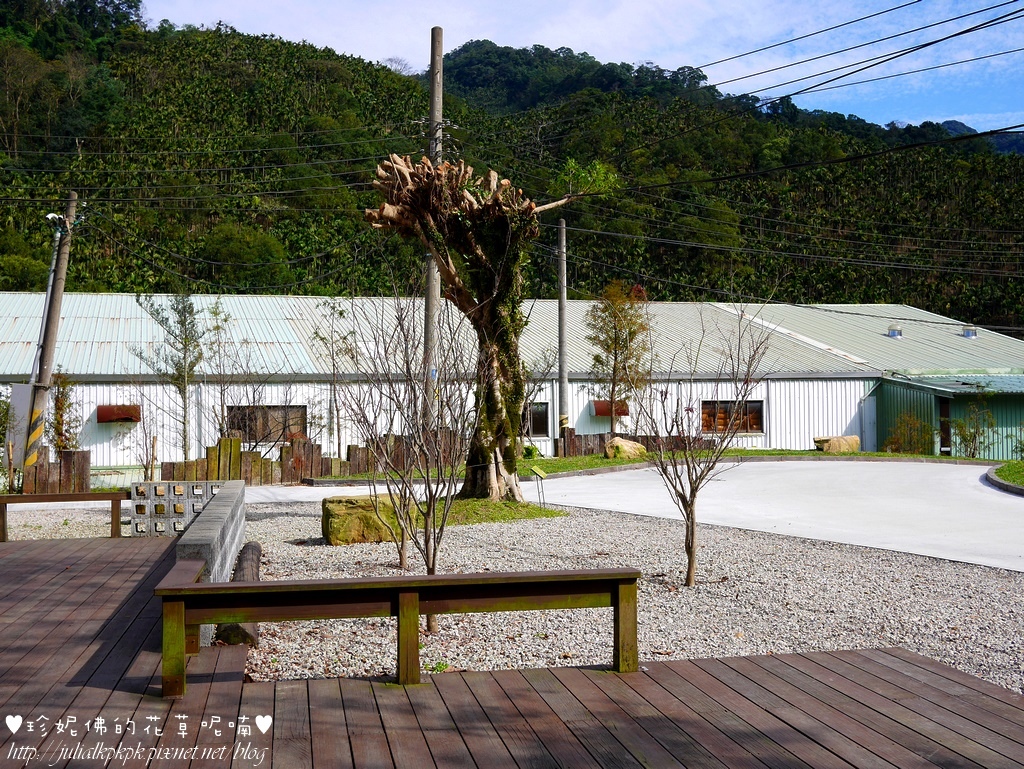 P1390706.jpg P1390706.jpg