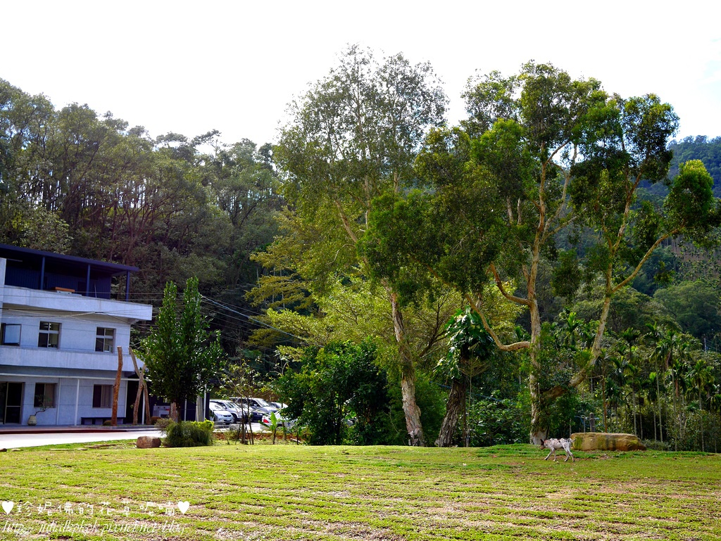 P1390741.jpg P1390741.jpg