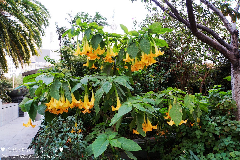 DSC00638.JPG DSC00638.JPG