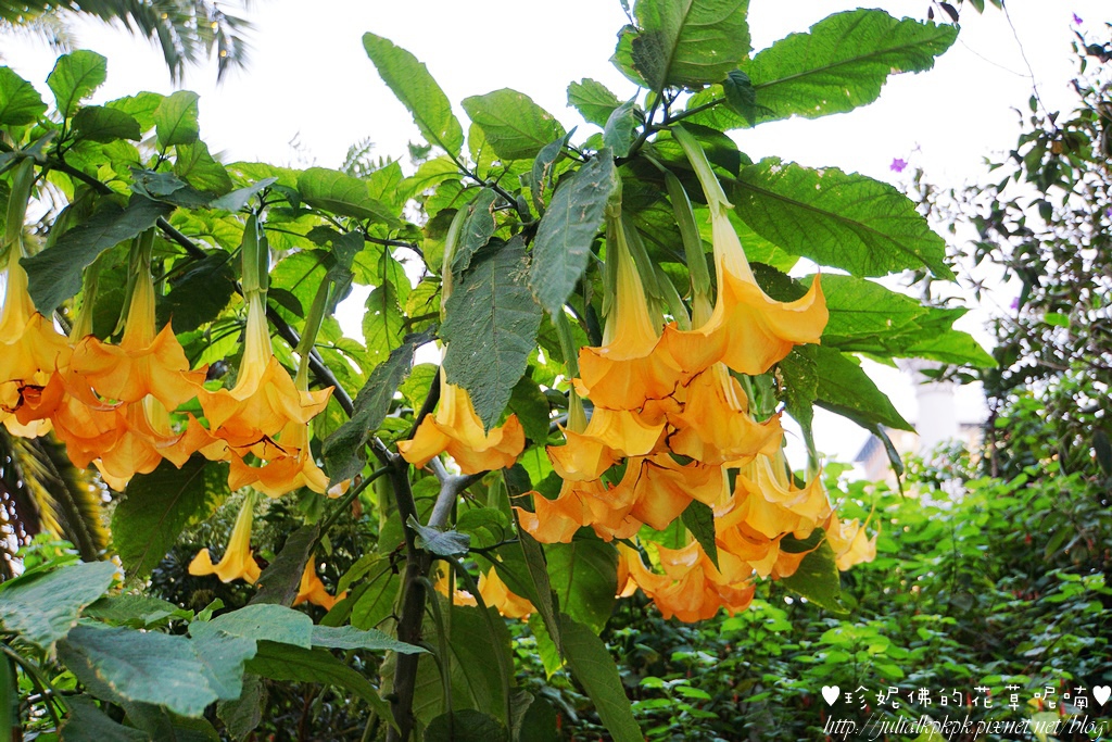 DSC00639.JPG DSC00639.JPG