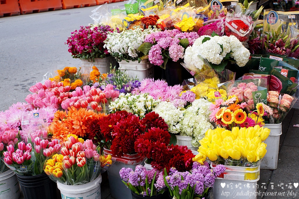 DSC00658.JPG DSC00658.JPG