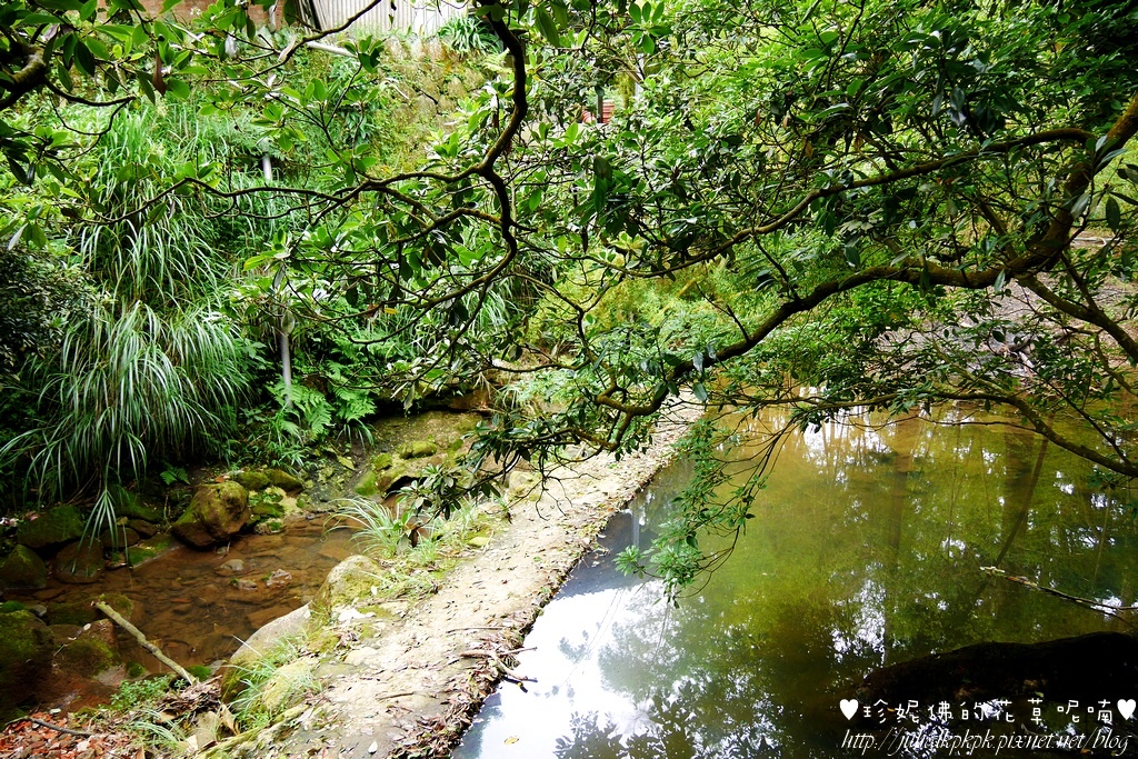 P1450332.jpg P1450332.jpg