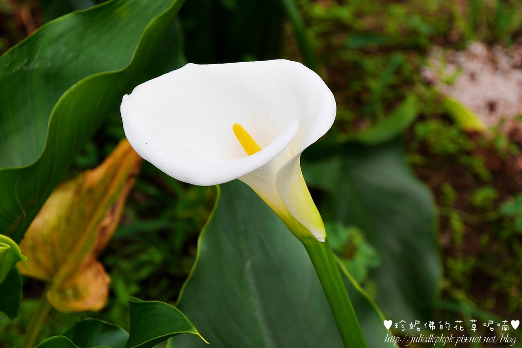 P1450336.jpg P1450336.jpg