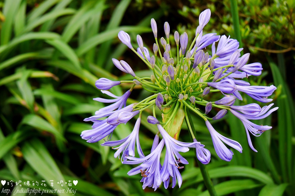 P1450338.jpg P1450338.jpg