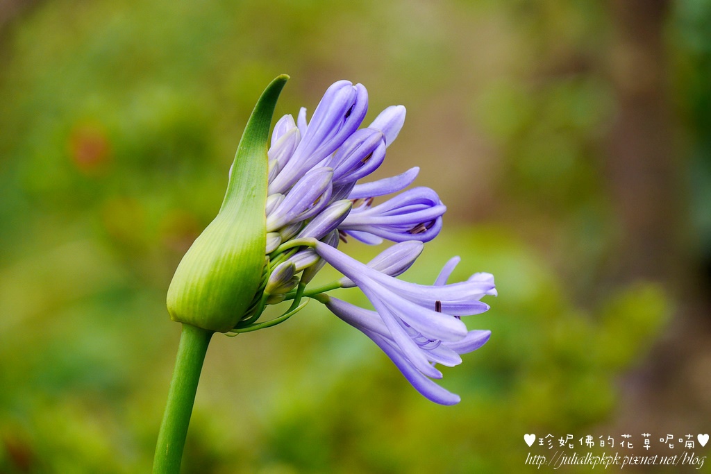 P1450340.jpg P1450340.jpg