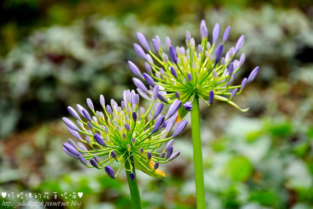 P1450341.jpg P1450341.jpg