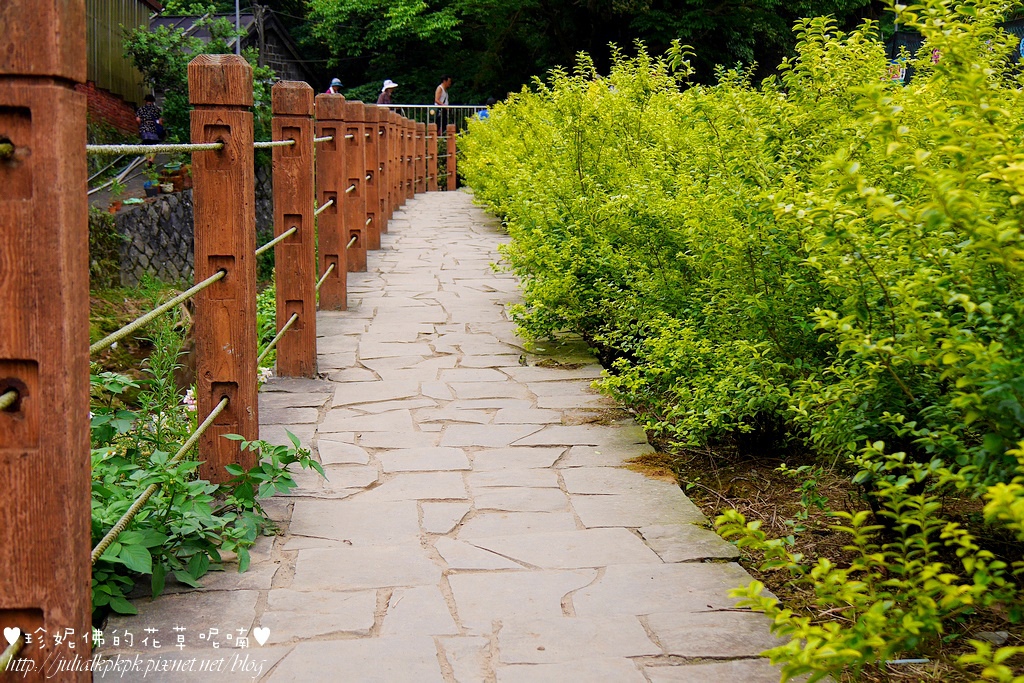 P1450346.jpg P1450346.jpg