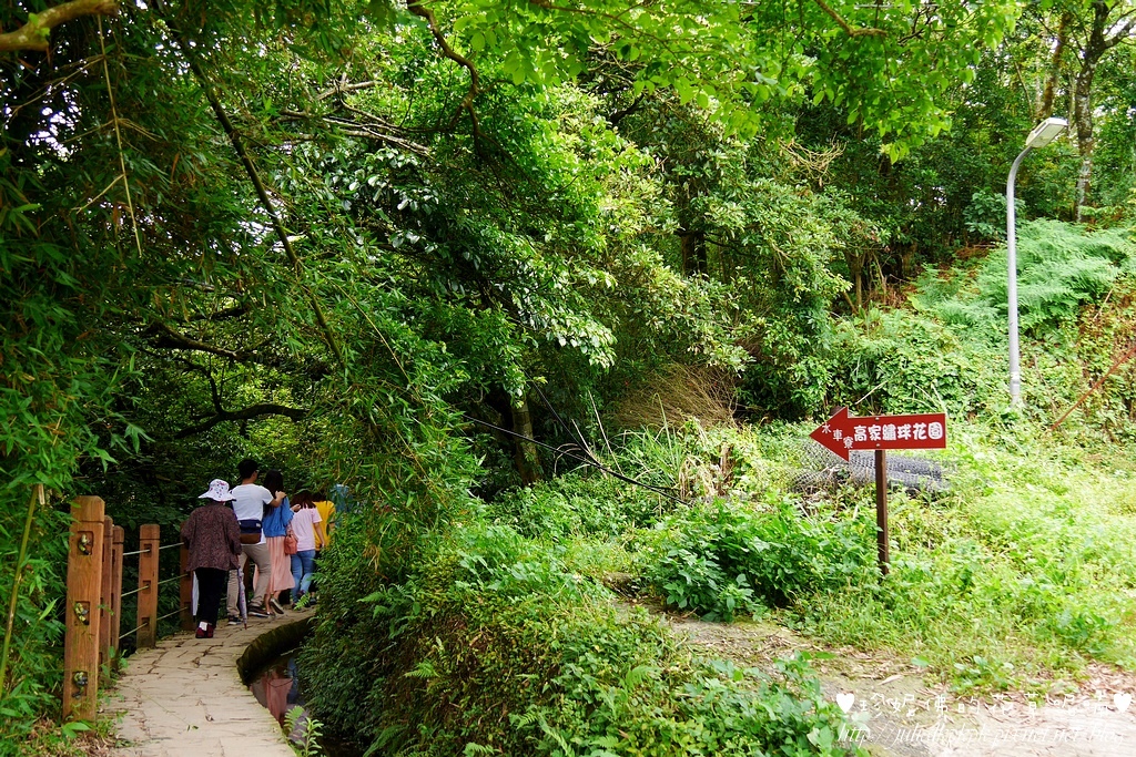 P1450350.jpg P1450350.jpg