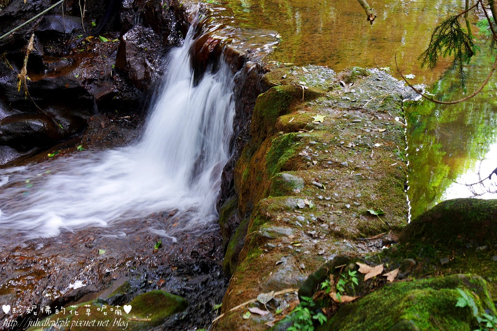 P1450359.jpg P1450359.jpg