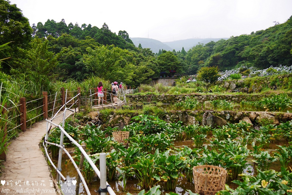 P1450370.jpg P1450370.jpg