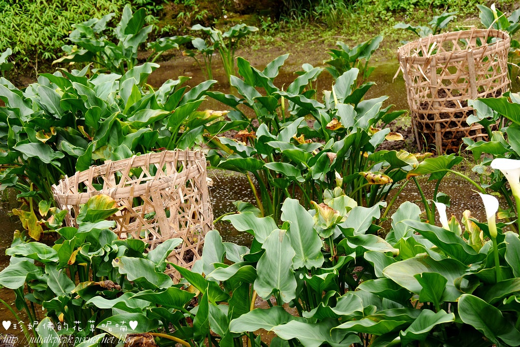 P1450371.jpg P1450371.jpg