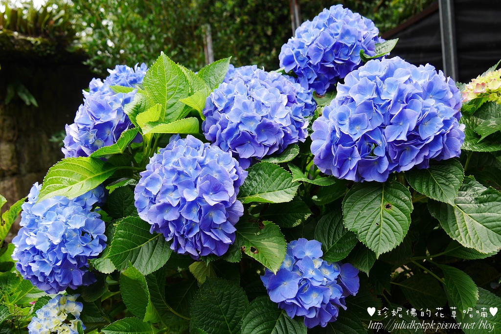 P1450379.jpg P1450379.jpg