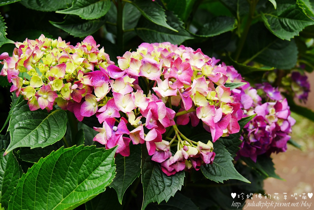 P1450382.jpg P1450382.jpg