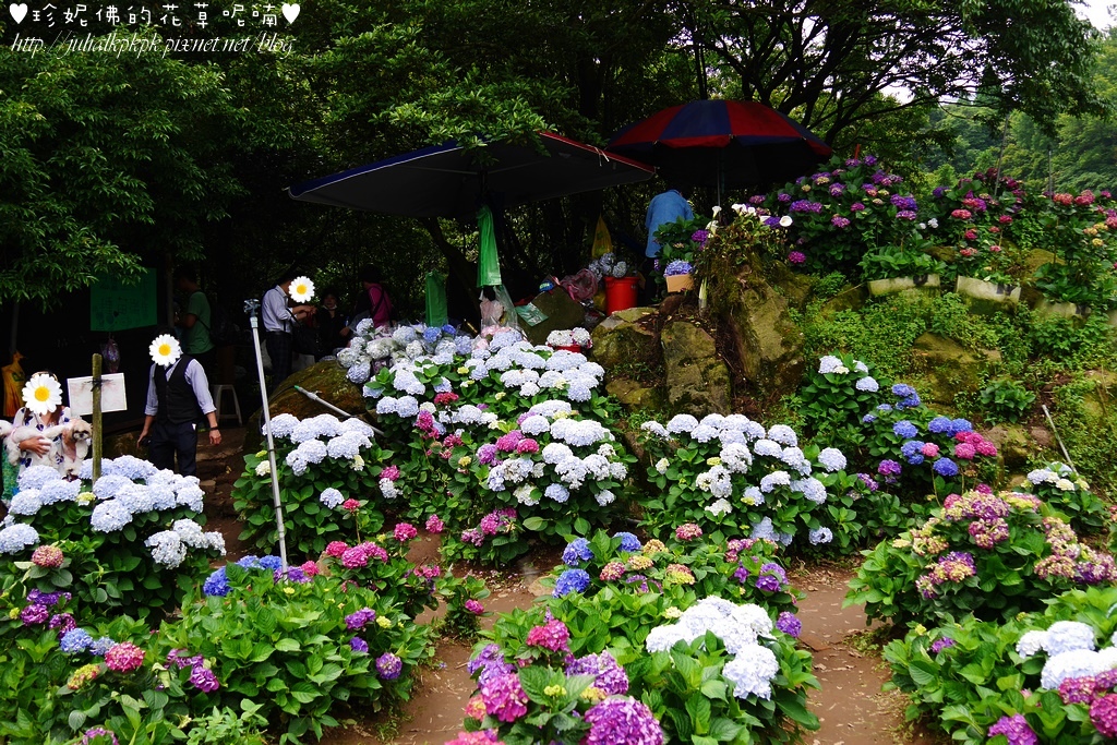 P1450386.jpg P1450386.jpg