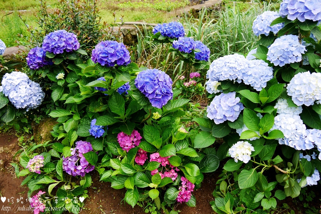 P1450388.jpg P1450388.jpg