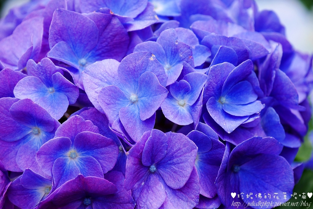 P1450390.jpg P1450390.jpg