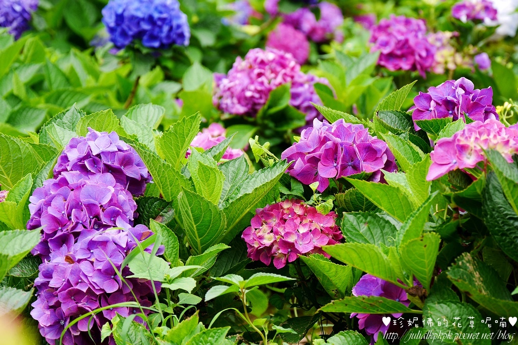 P1450396.jpg P1450396.jpg