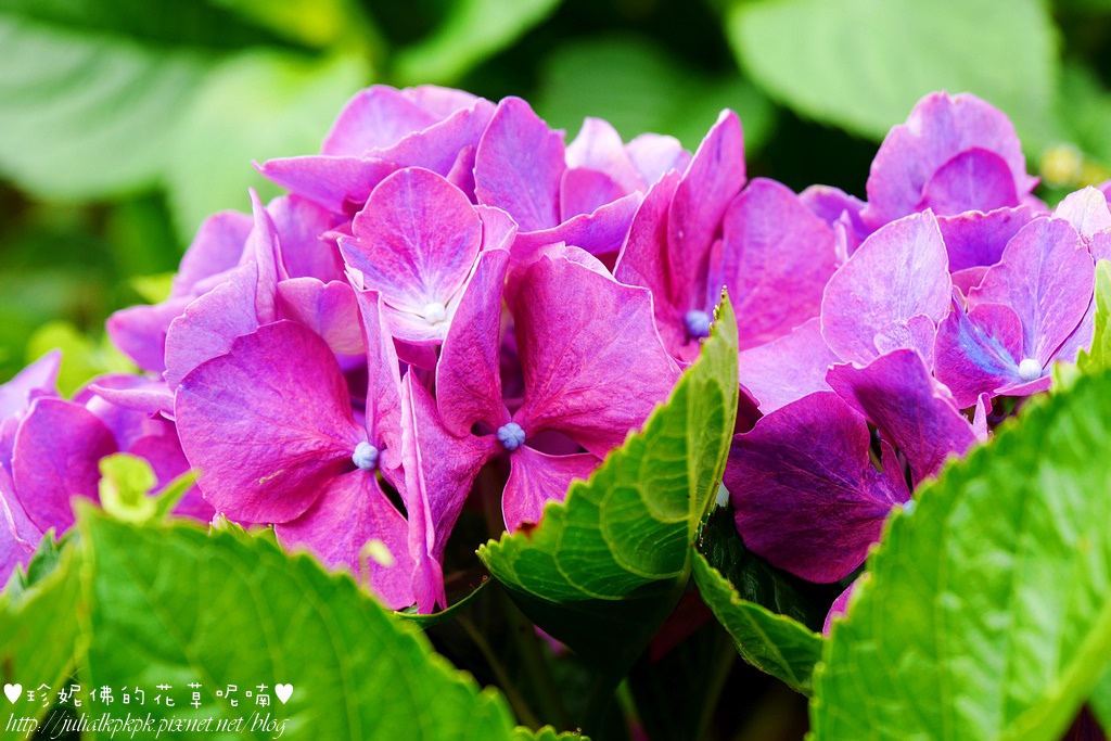 P1450397.jpg P1450397.jpg