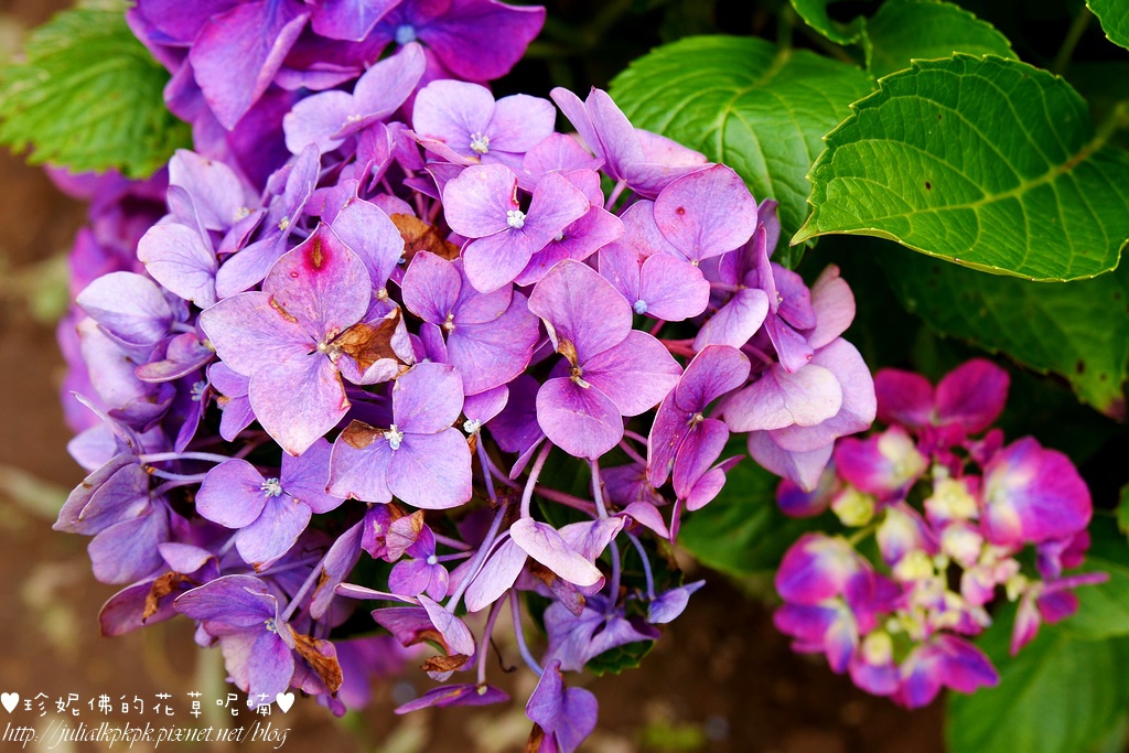 P1450398.jpg P1450398.jpg