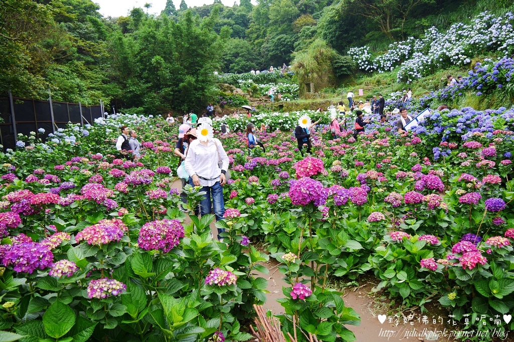 P1450399.jpg P1450399.jpg