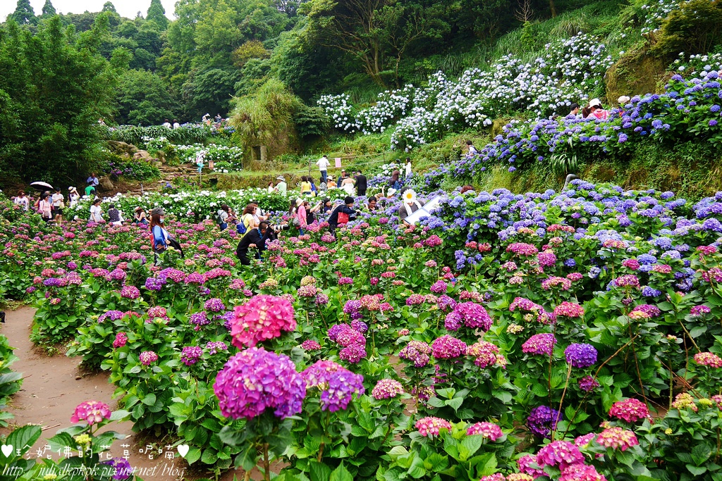 P1450401.jpg P1450401.jpg