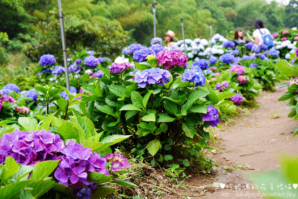 P1450403.jpg P1450403.jpg