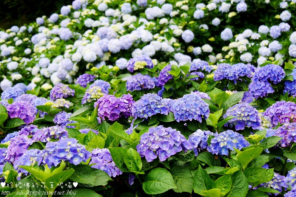 P1450418.jpg P1450418.jpg