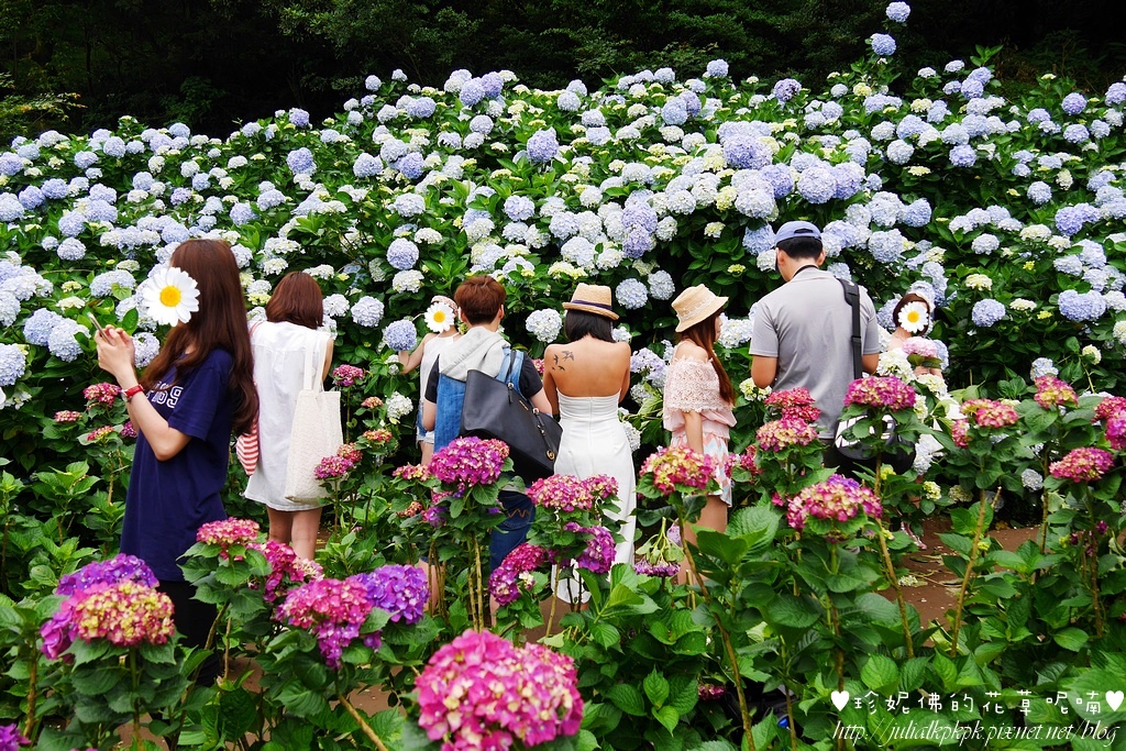 P1450422.jpg P1450422.jpg