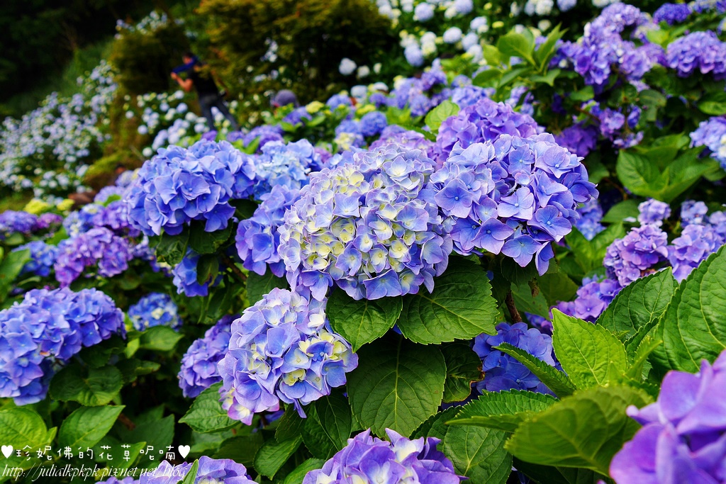 P1450425.jpg P1450425.jpg