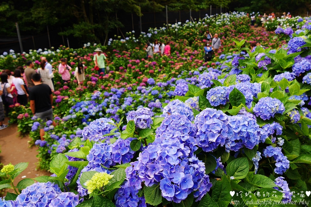 P1450426.jpg P1450426.jpg