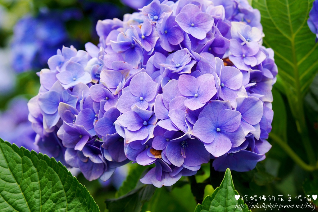 P1450428.jpg P1450428.jpg