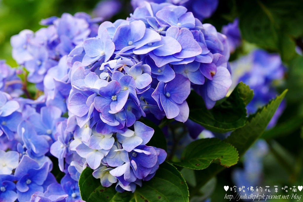 P1450429.jpg P1450429.jpg