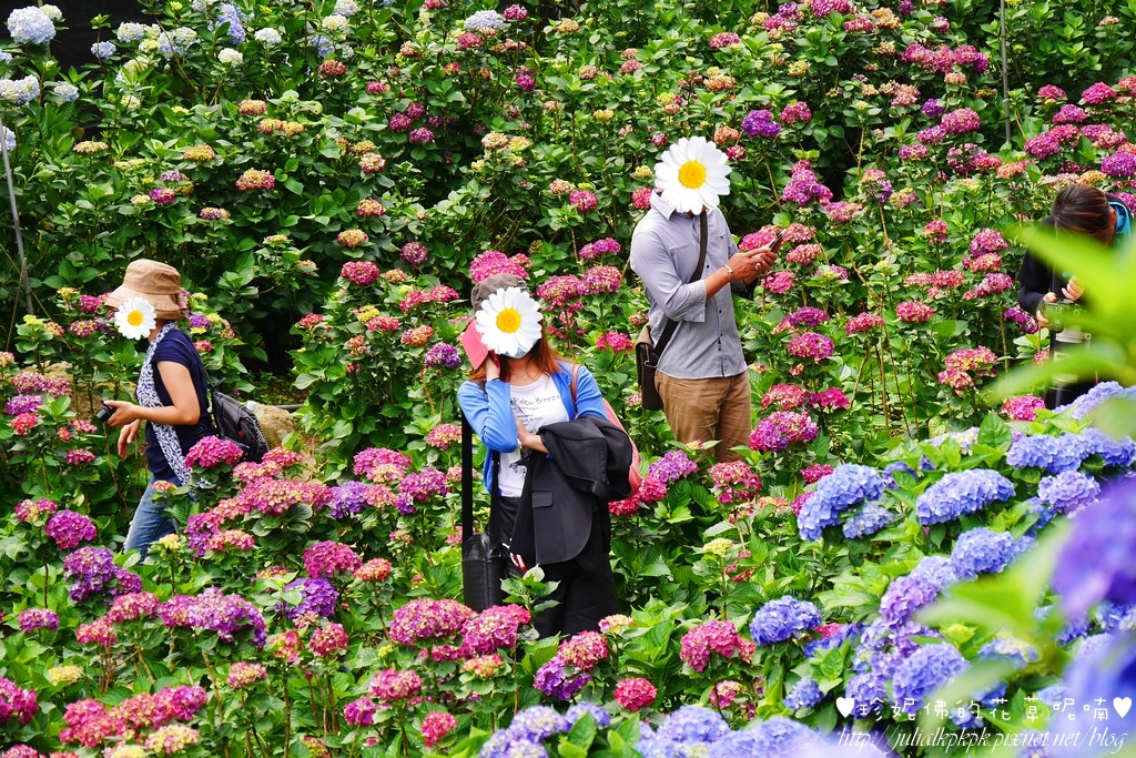 P1450430.jpg P1450430.jpg