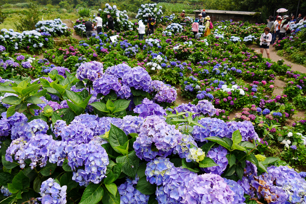 P1450432.jpg P1450432.jpg