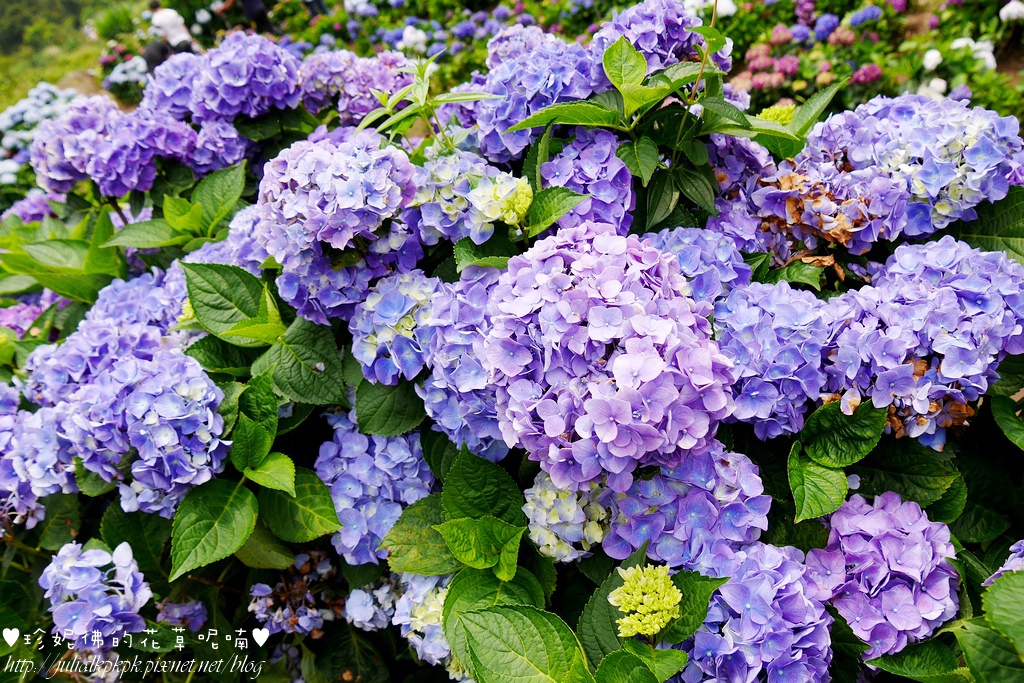 P1450434.jpg P1450434.jpg