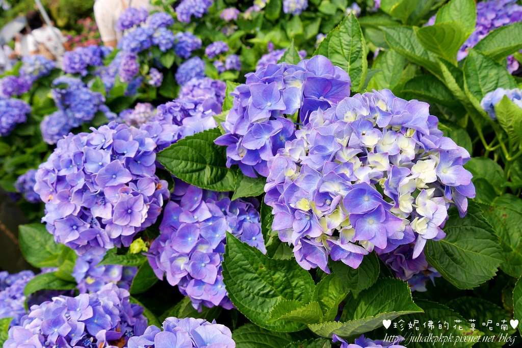 P1450438.jpg P1450438.jpg