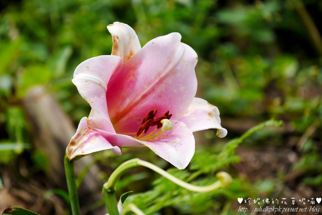 P1450440.jpg P1450440.jpg