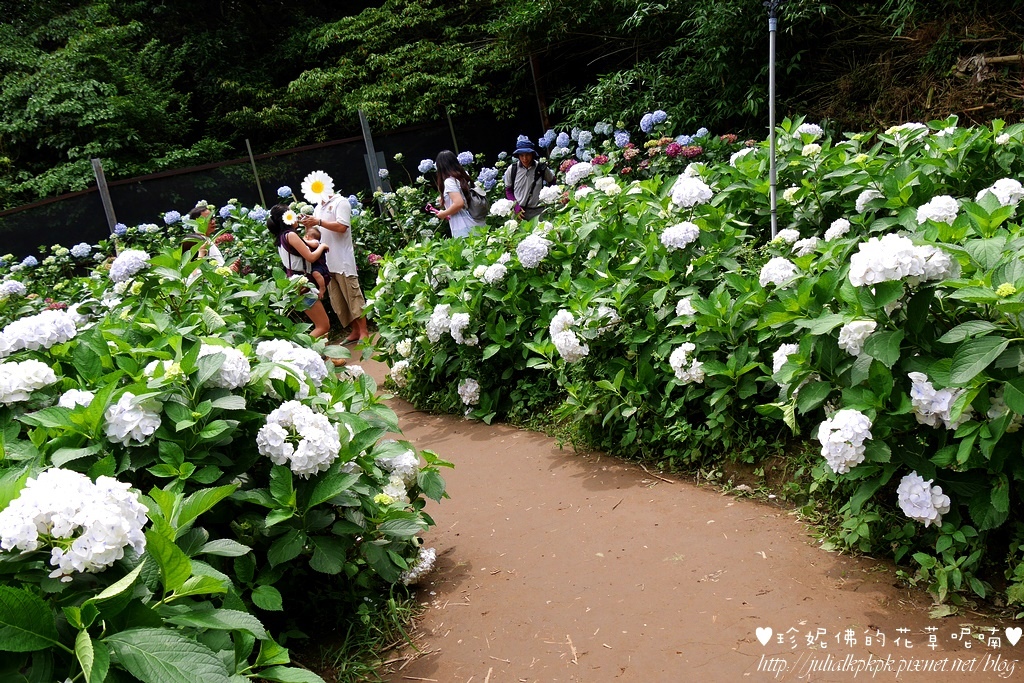 P1450448.jpg P1450448.jpg