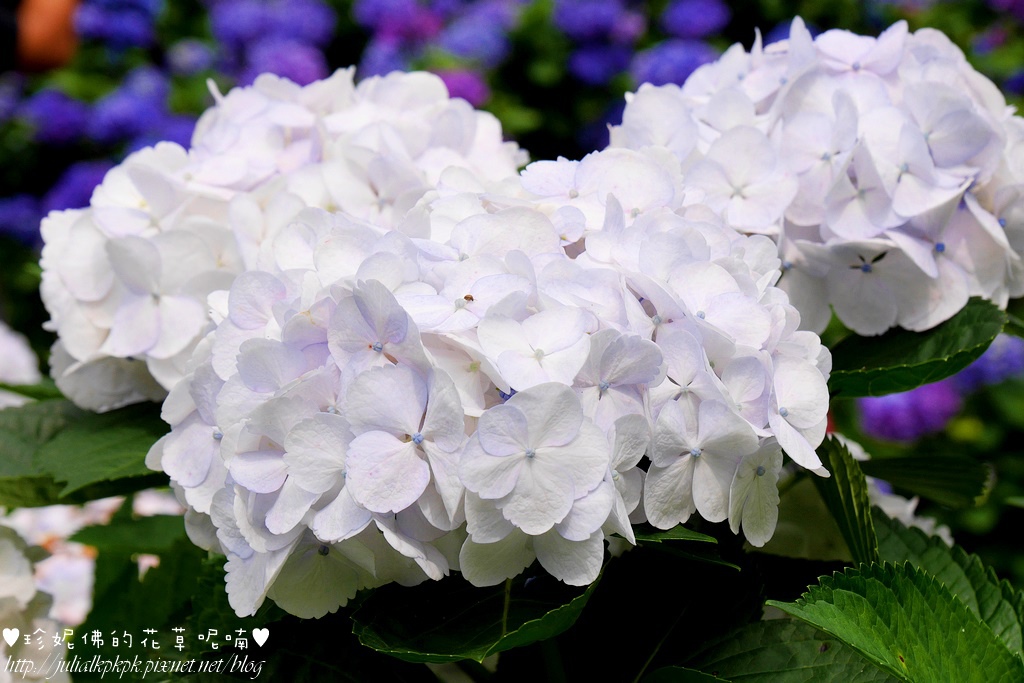 P1450452.jpg P1450452.jpg