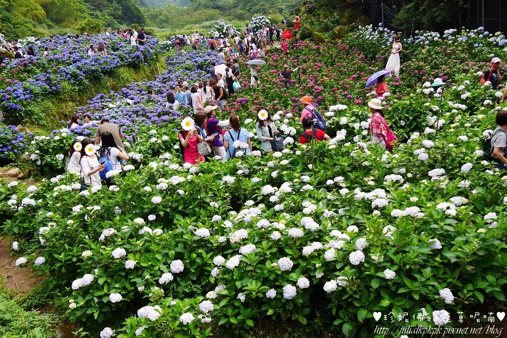 P1450469.jpg P1450469.jpg