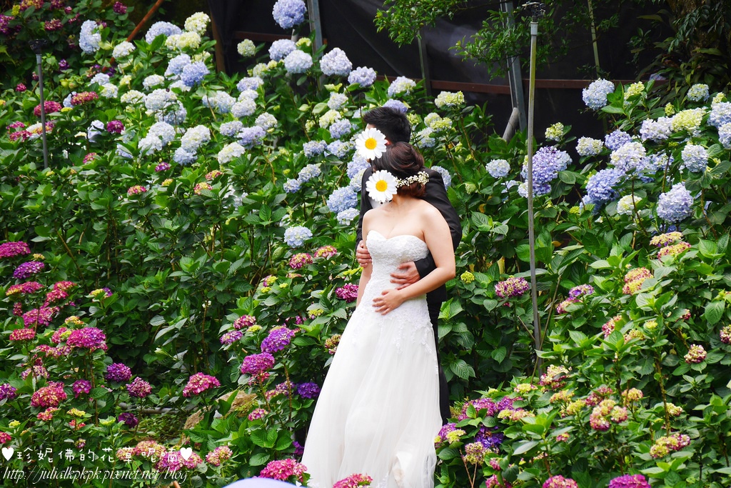 P1450472.jpg P1450472.jpg