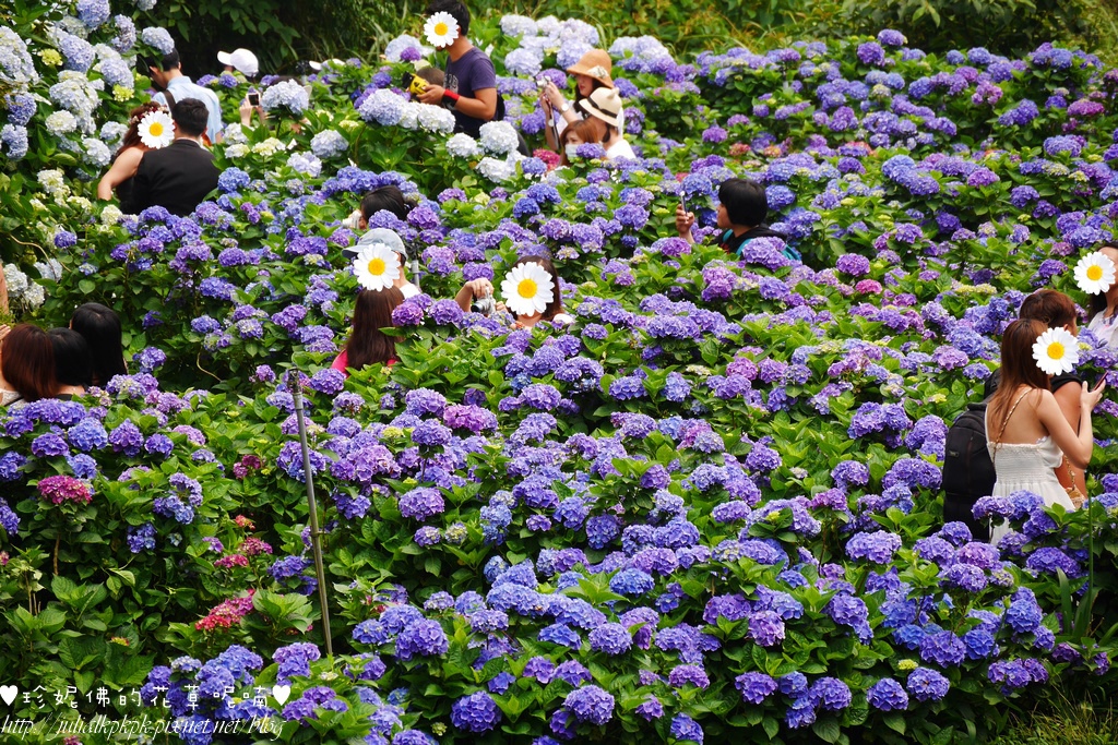 P1450478.jpg P1450478.jpg