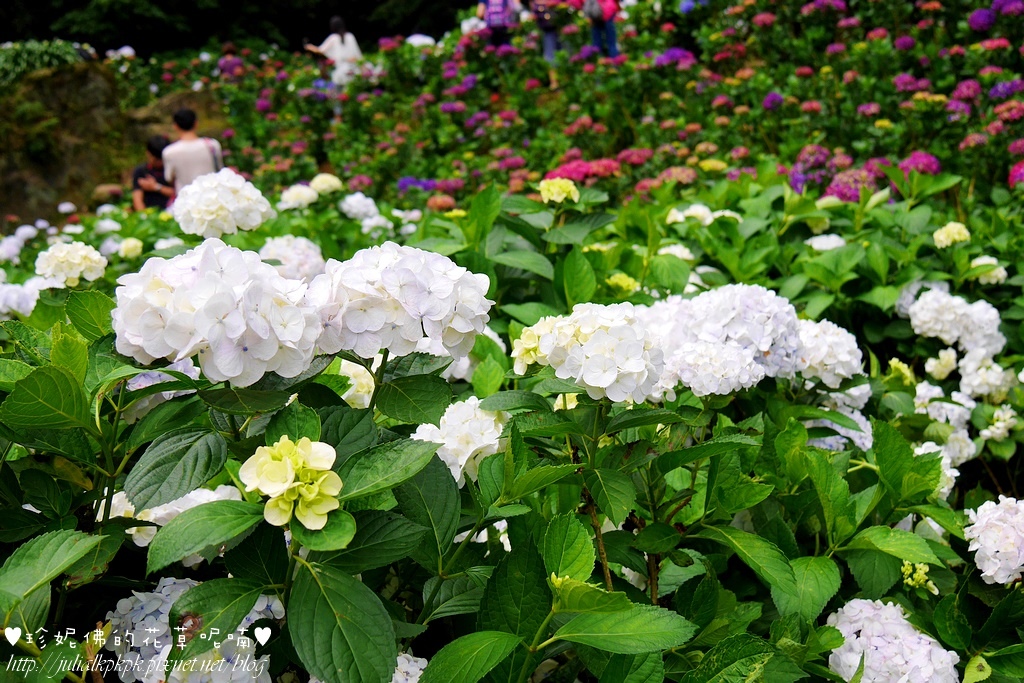 P1450487.jpg P1450487.jpg