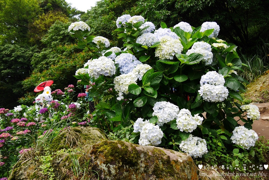 P1450489.jpg P1450489.jpg