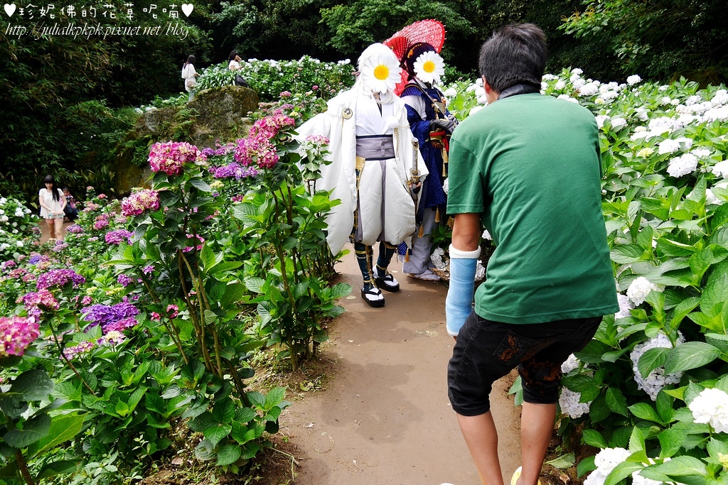 P1450492.jpg P1450492.jpg