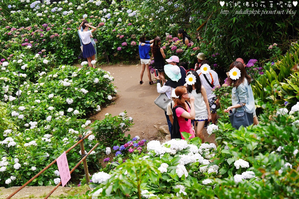 P1450493.jpg P1450493.jpg