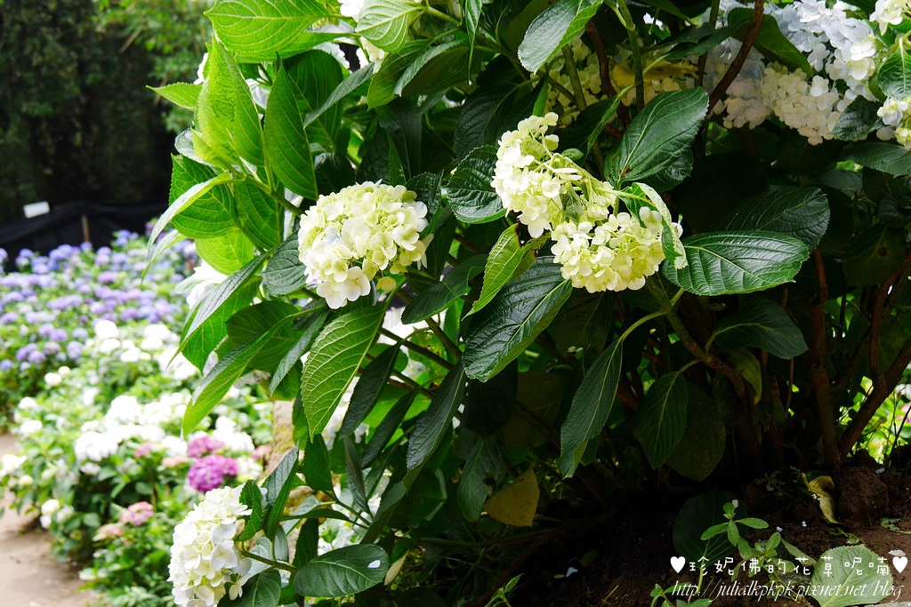 P1450497.jpg P1450497.jpg