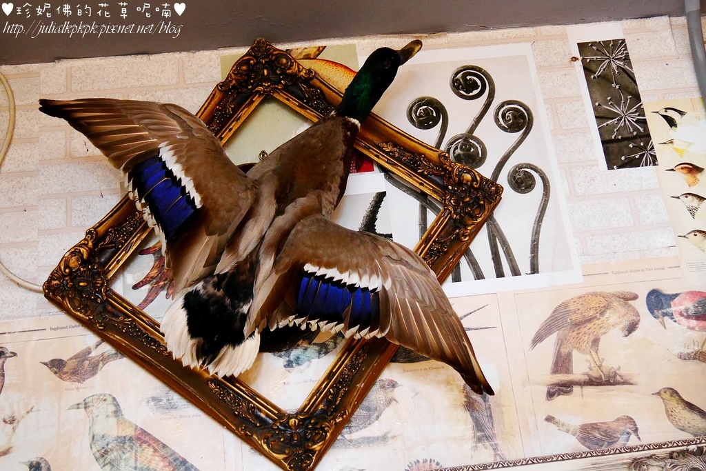 P1450679.jpg P1450679.jpg