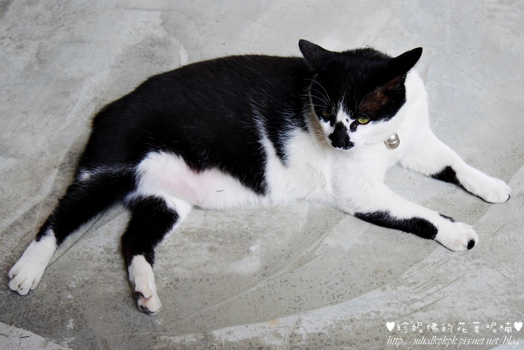 P1450691.jpg P1450691.jpg