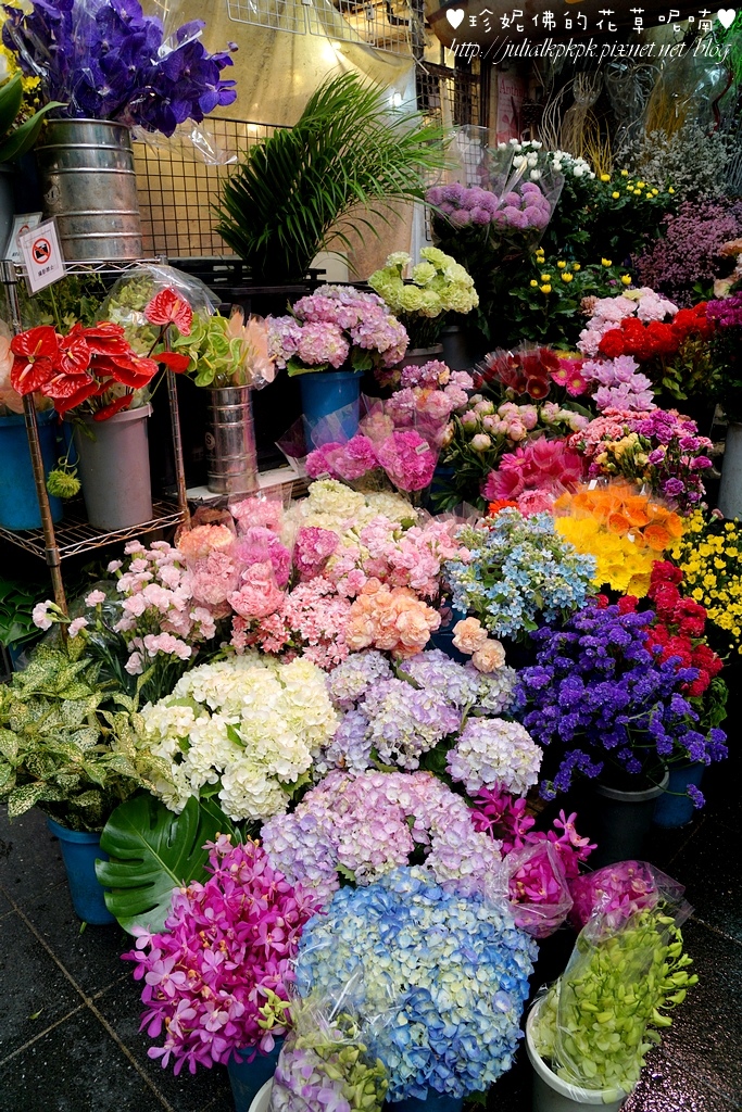 DSC05806.JPG DSC05806.JPG